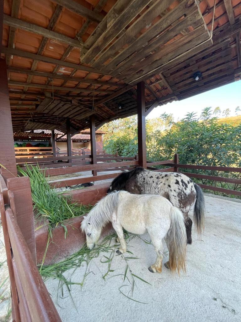 Hotel Fazenda Rochedo Conservatória エクステリア 写真